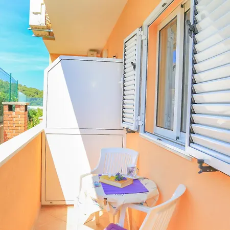 Sunny Elza フヴァル