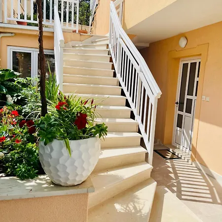 アパート Sunny Elza *