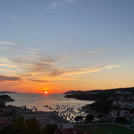 Sunny Elza * フヴァル