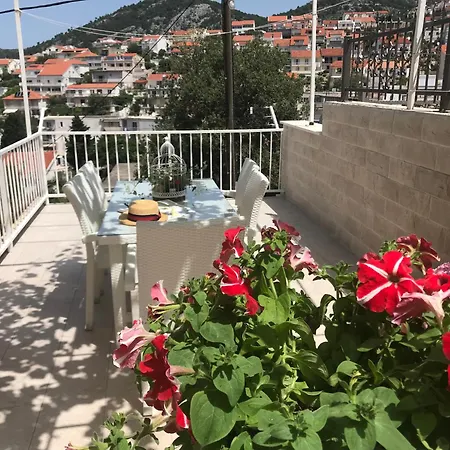 Sunny Elza * フヴァル